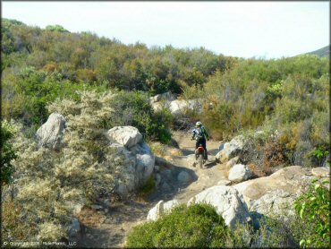 Woman navigating a section of rocky ATV trail on Honda dirt bike.