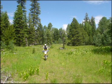 OHV at Crane Mountain OHV Trail