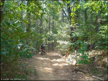 Honda CRF Dirtbike at Georgetown Trail