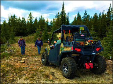 Twin Sisters and Mack King Trails