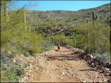 Honda CRF Motorcycle at Mescal Mountain OHV Area Trail