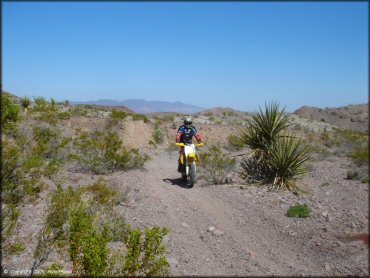 OHV at Nelson Hills Trail