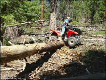 Female rider on a Honda OHV at South Camp Peak Loop Trail