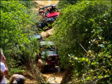 The Swamp Offroad Park Trail