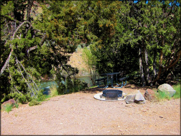 Campsite with fire ring, picnic table and shady trees overlooking the East Fork Jarbidge River.