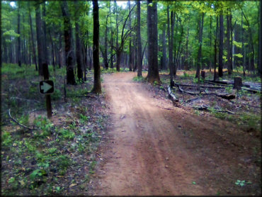 Cedar Springs OHV Trail