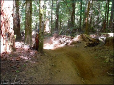 Example of terrain at Upper Nestucca Motorcycle Trail System
