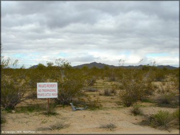 Bowl Riding Area