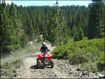 Female rider on a Honda ATV at South Camp Peak Loop Trail