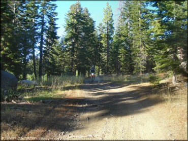 Honda CRF Motorcycle at Black Springs OHV Network Trail