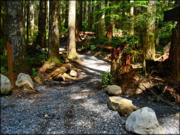 Reiter Foothills State Forest Trail