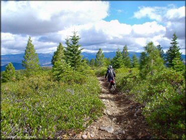 Honda CRF Dirtbike at Prosser Hill OHV Area Trail