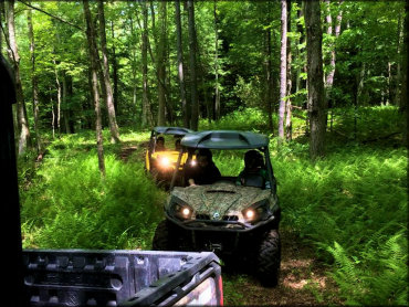 Backyard Adventure UTV Tours Trail