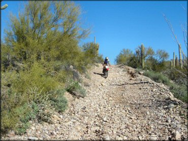 Honda CRF Motorcycle at Mescal Mountain OHV Area Trail