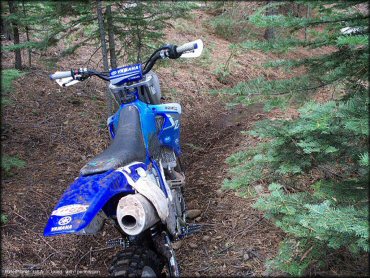 Crandall Peak And Deer Creek OHV Area Trail