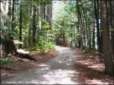 Example of terrain at Pisgah State Park Trail