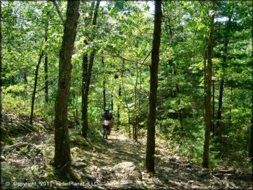 OHV at Wrentham Trails