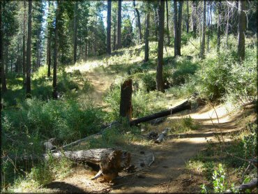 Example of terrain at Miami Creek OHV Area Trail