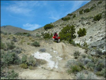 OHV at Blue Mountain Trail