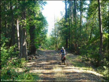Honda CRF Motorcycle at Lubbs Trail