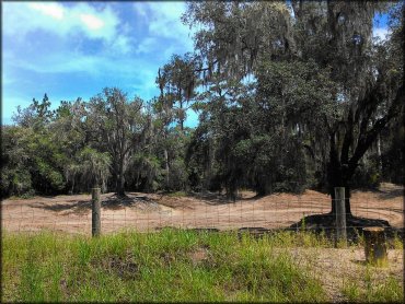 Croom Motorcycle Area Trail