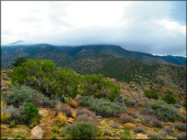 Chloride Mine Trails