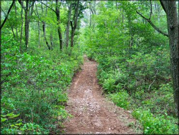 Shade Mountain Trail