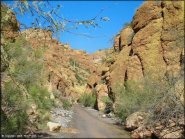 Gravel wash and shallow stream flowing surrounded by canyon walls, mesquite trees and creosote bushes.