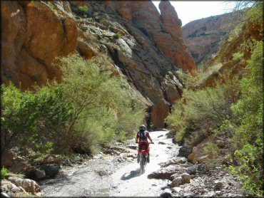 Honda dirt bike going through small runoff stream.