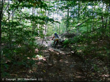 Honda CRF Motorbike at Beartown State Forest Trail