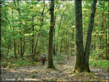 OHV at F. Gilbert Hills State Forest Trail