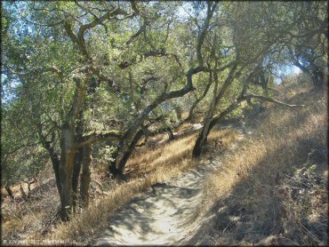 A trail at Santa Clara County Motorcycle Park OHV Area