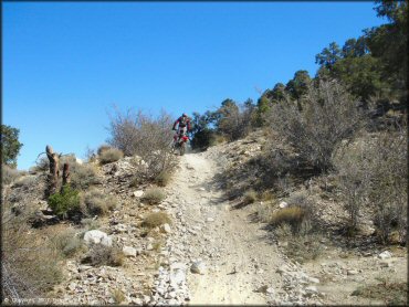 CRF250 dirt bike going up rocky ATV trail.