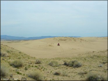 OHV at Winnemucca Sand Dunes OHV Area