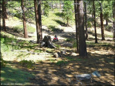 Girl riding a Honda Four Wheeler at South Camp Peak Loop Trail