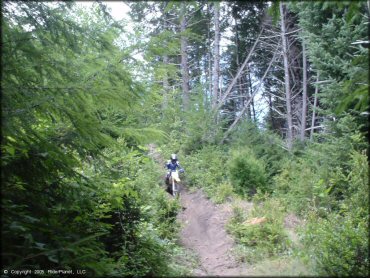 OHV at Winchester Trails