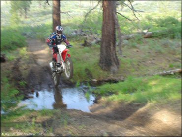 Honda CRF Dirt Bike getting wet at Bull Ranch Creek Trail