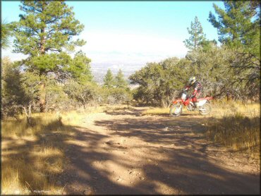 Honda CRF Dirtbike at Hunter Lake Trail