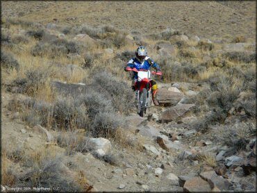 Honda CRF Dirt Bike at Wilson Canyon Trail
