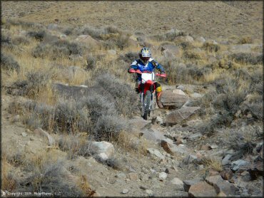 Honda CRF Trail Bike at Wilson Canyon Trail