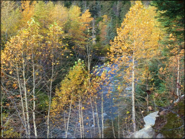 Bird Creek Valley Trail