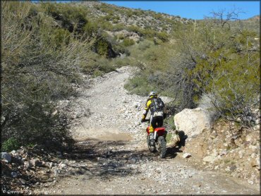 Honda CRF Motorcycle at Mescal Mountain OHV Area Trail