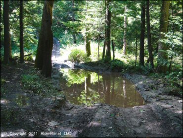 Example of terrain at Camden ATV Trail
