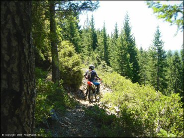 Girl riding a Honda CRF Motorbike at High Dome Trail