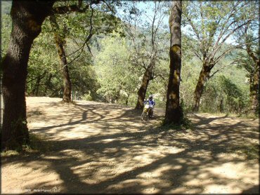 OHV at Penny Pines Trail
