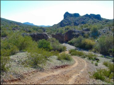 Agua Caliente Trail