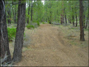 Terrain example at Verdi Peak OHV Trail