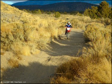 Mount Seigel OHV Trails