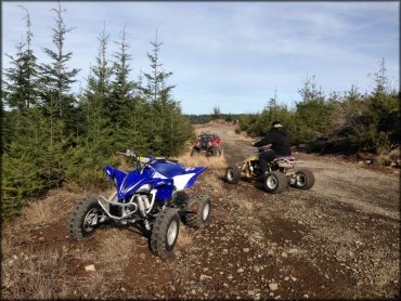 Crooked Finger OHV Trails