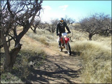 Honda CRF Trail Bike at Redington Pass Trail